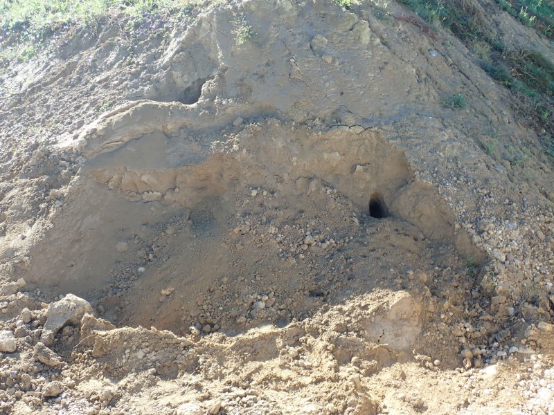 Erde kaufen Baselland Humus kaufen Baselland Sand kaufen Baselland L&ouml;ss kaufen Baselland Kies kaufen Baselland